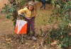 Co Montjuic 2010 7