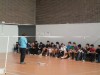 Badminton 100110 2