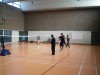 Badminton 100110 4
