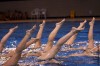 Sincro 23311 08